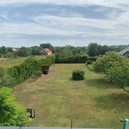 Erd - Csendes, Kenyelmes Csaladi Haz Apartment Exterior foto