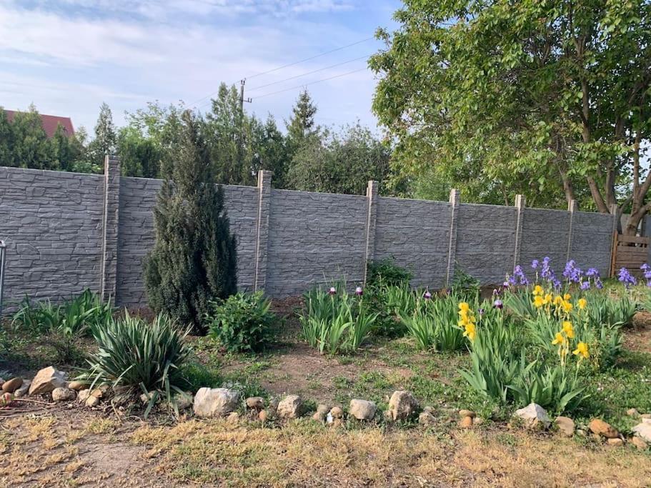 Erd - Csendes, Kenyelmes Csaladi Haz Apartment Exterior foto